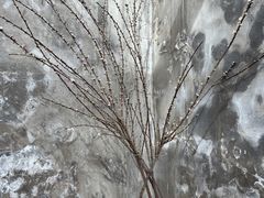 -VOYAGE COFFEE(北锣鼓巷店)