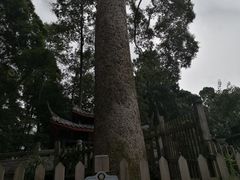 -都江堰普照寺