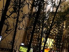 -威斯汀酒店Exchange大堂吧