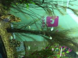 点击看大图 小左美发(南京东路店)-小左美发