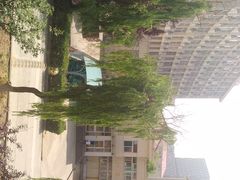 -山东大学(软件园校区)