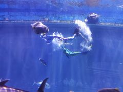 -华夏文旅海洋公园