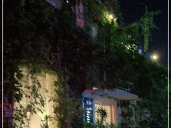 -蓝山四季西餐植物店