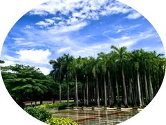 -深圳国际园林花卉博览园