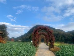 -广州市石门国家森林公园