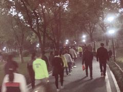 -堤角公园