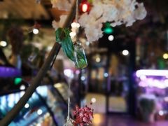 -莫太花餐厅(河北路店)