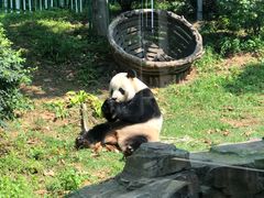 -大连森林动物园