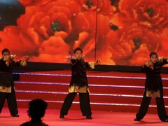 -南京奥林匹克体育中心-体育馆