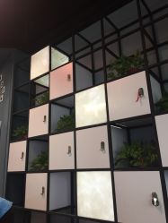 -MAGIC米几发型设计·羊毛卷