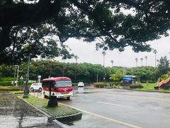 -信不信由你博物馆