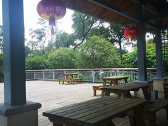-金鸡山公园