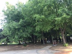 -长春公园(普阳街道)