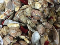 -胶东海鲜大排档(北太平庄店)