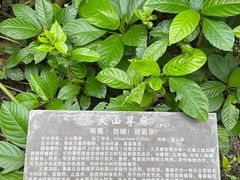 -海口火山口国家地质公园