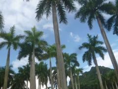 -南宁花花大世界景区