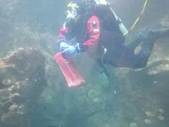 -西雅图水族馆