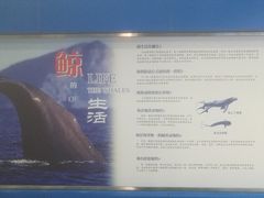 -上海海洋大学鱼文化博物馆(军工路校区)