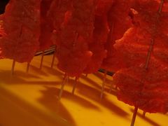 -味子夫鸡柳(解放碑总店)