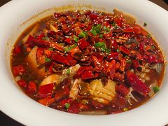 -KŌNG胶东小馆·酒馆(华熙店)