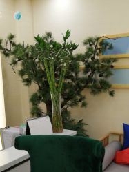 点击看大图 -芳朵美容养生SPA