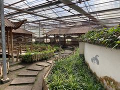 -上海都市菜园