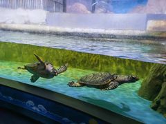 -常州海昌海洋探索馆
