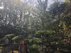 -翠湖公园