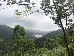 -田心森林公园