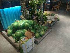 -东椰·海南椰子鸡火锅(朝阳门店)