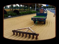 -上海佘山国家森林公园天马山园