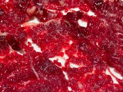 -陈记顺和潮汕牛肉火锅(番禺迎宾大道店)