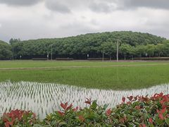 -嘉北郊野公园