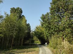 -桐乡植物园