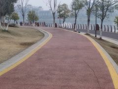 -九龙湖公园