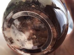 -Blueglass酸奶(财富购物中心店)