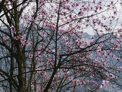 -九皇山景区