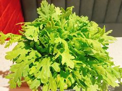 茼蒿菜-京韵胡同·酱香羊蝎子火锅涮肉(长寿路店)
