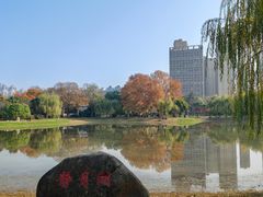 -堤角公园