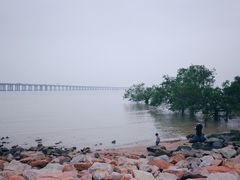 -宝安西湾红树林湿地公园