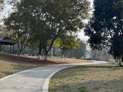 -白鹭湾湿地公园