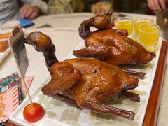 -大鸽饭(动物园店)