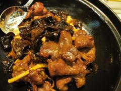 -金轩中餐厅 Jin Xuan(浦东丽思卡尔顿酒店)