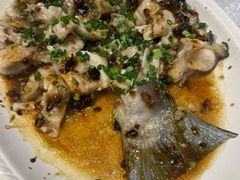 豉汁蒸西江魽鱼-沙河粉村·国家非遗传承(云台店)