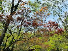 -岳麓山风景名胜区