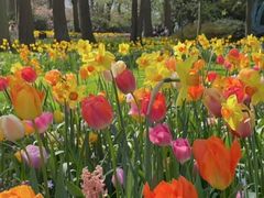 -国家植物园南园