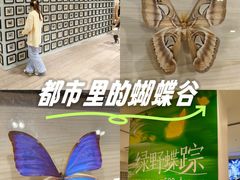 -深圳龙华星河COCO City(民治店)