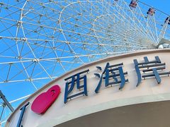-琴岛之星摩天轮