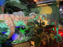 -恐龙探索乐园(磁器口店)