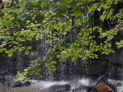 -汤旺河林海奇石景区